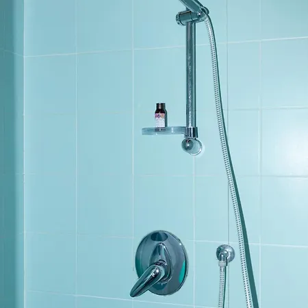 Nest ヴェローナ