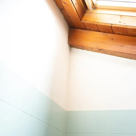 Nest * ヴェローナ