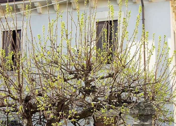 דירה Nest ורונה