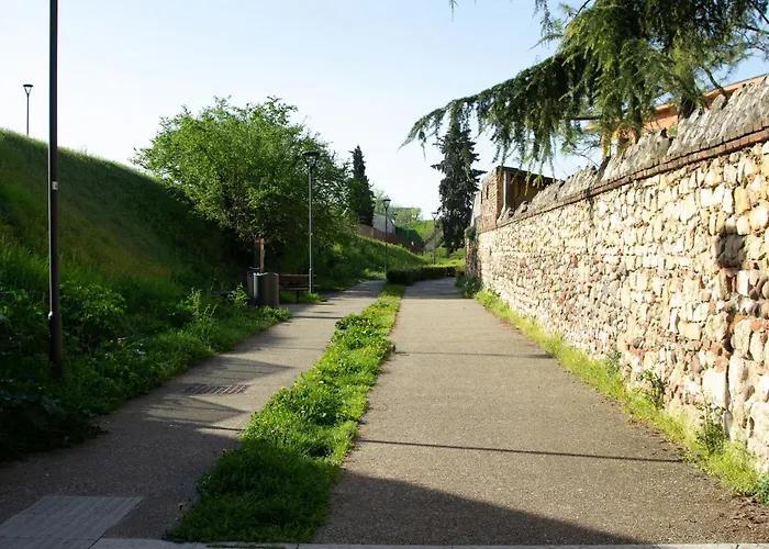 Nest * Verona