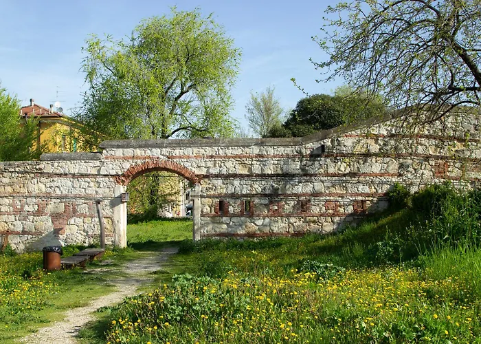 Nest Verona